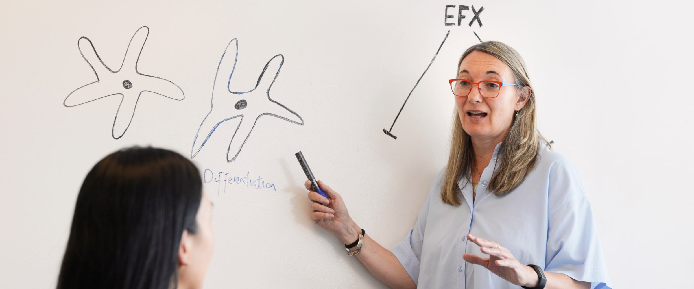 Two women discussing efruxifermin, or EFX, in front of a whiteboard